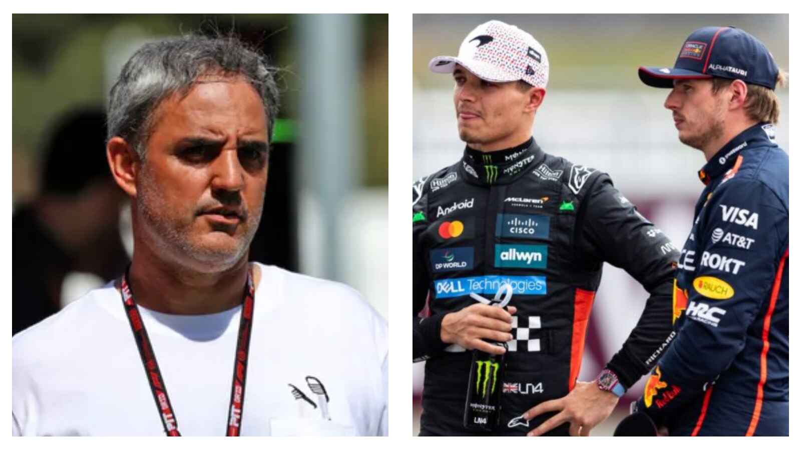 Montoya, Norris, and Verstappen